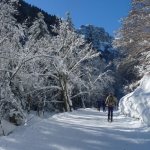Pista escursionistica nel fondovalle 